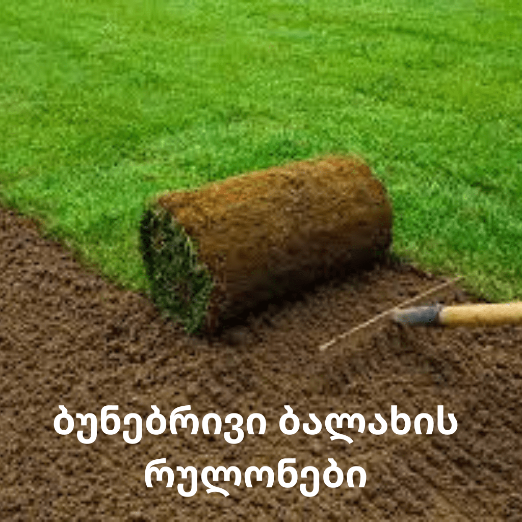 რულონი