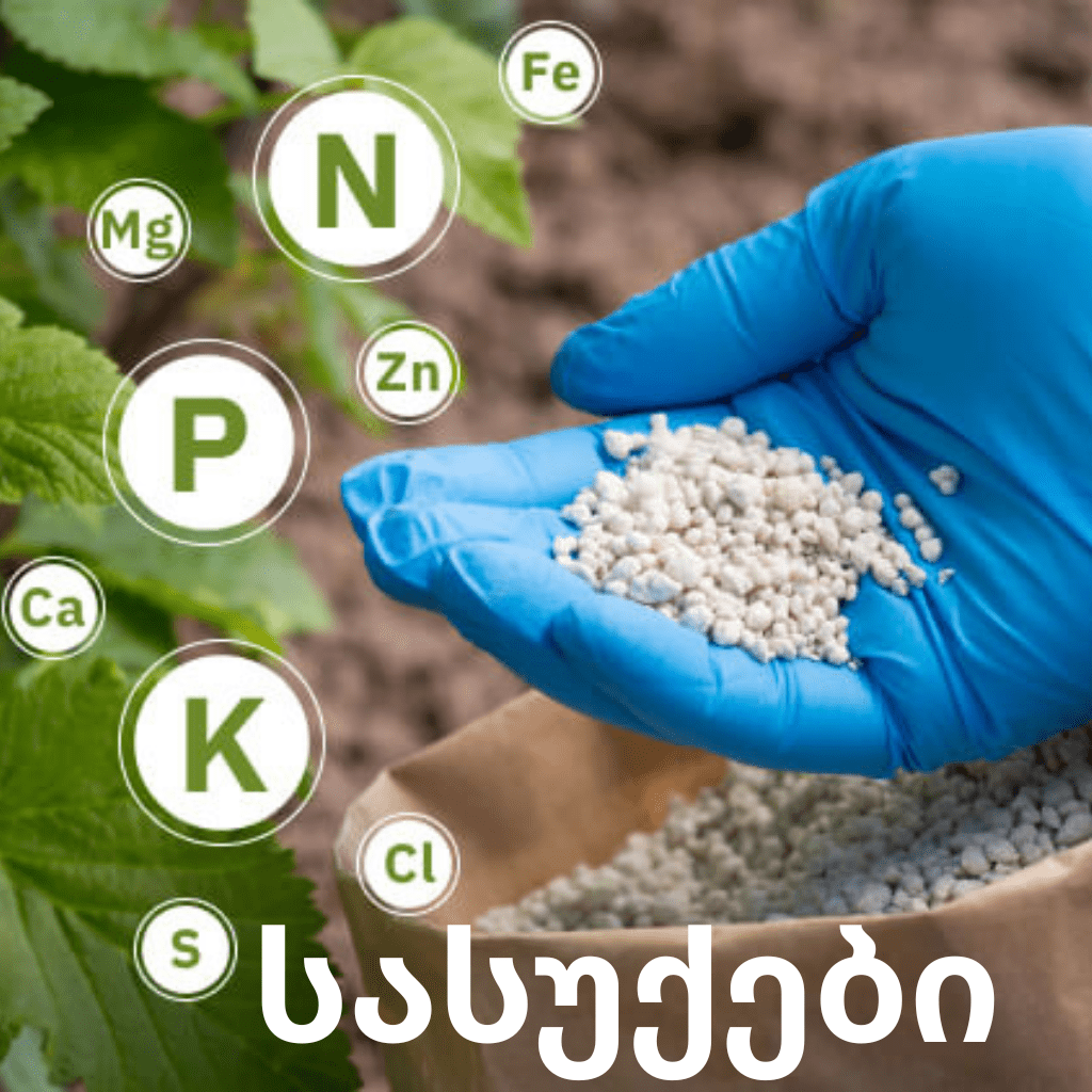 სასუქები